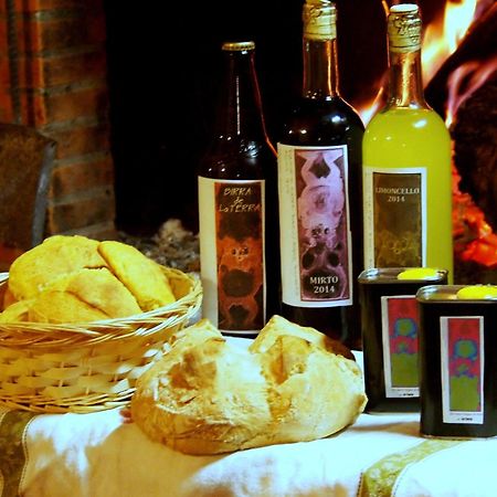 Agriturismo La Terra Valiano Kültér fotó