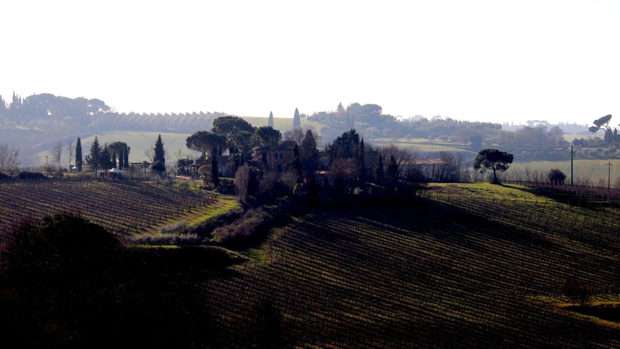 Agriturismo La Terra Valiano Kültér fotó