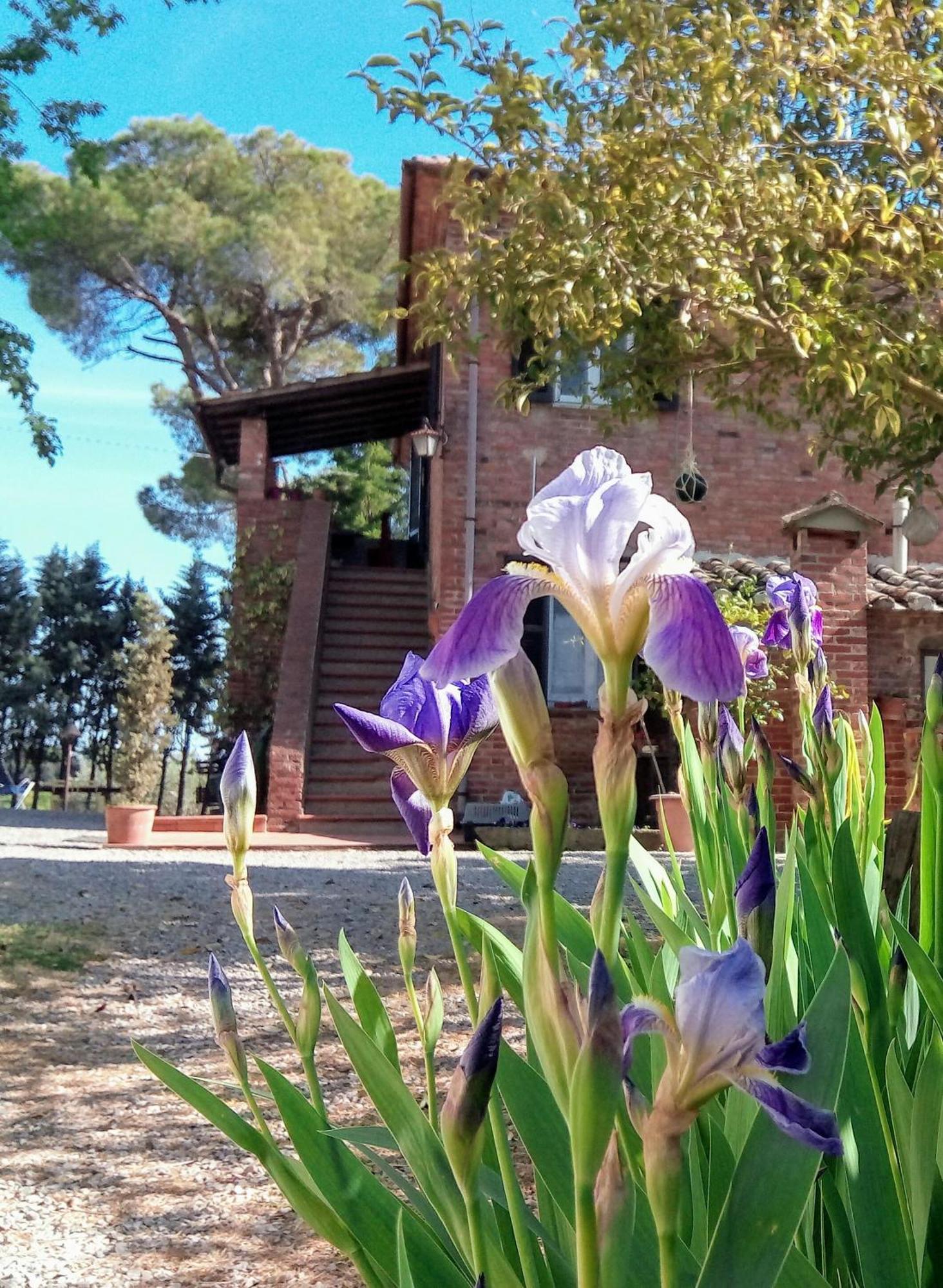 Agriturismo La Terra Valiano Kültér fotó