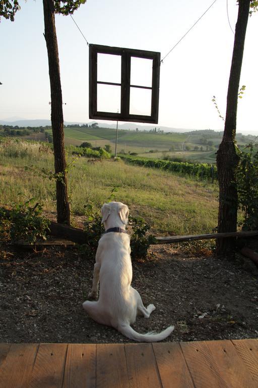 Agriturismo La Terra Valiano Kültér fotó